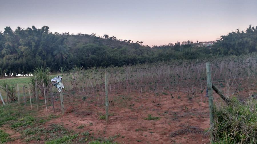 Terreno, 1433 m² - Foto 6