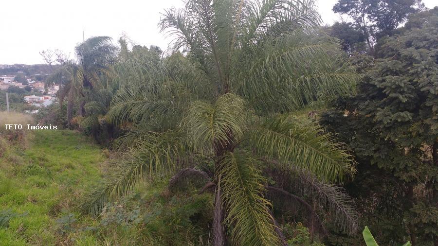 Terreno, 7099 m² - Foto 7