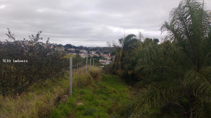 Terreno, 7099 m² - Foto 8