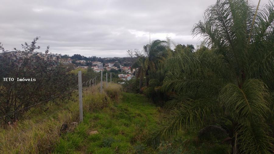 Terreno, 7099 m² - Foto 9