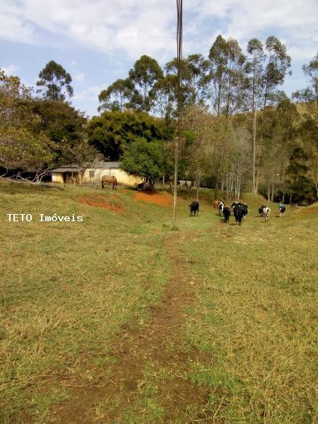 Fazenda, 60 m² - Foto 18