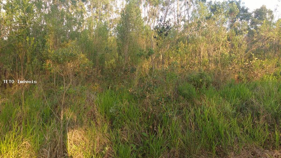 Terreno, 1300 m² - Foto 2