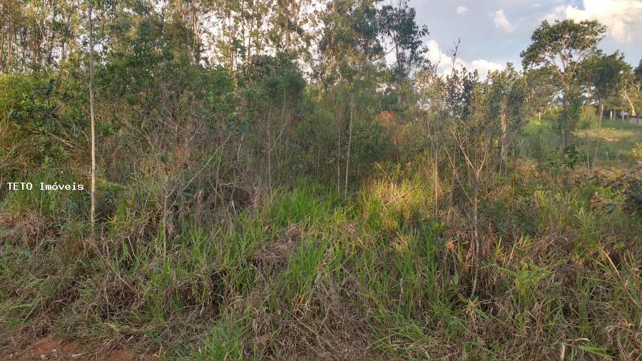 Terreno, 1300 m² - Foto 1