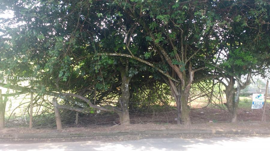 Terreno, 4000 m² - Foto 2