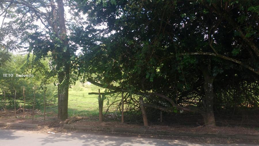 Terreno, 4000 m² - Foto 3