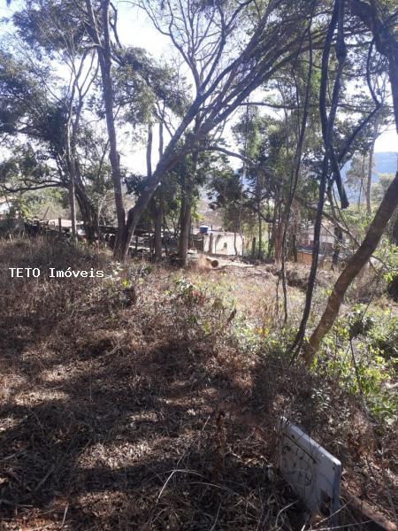 Terreno, 6250 m² - Foto 2