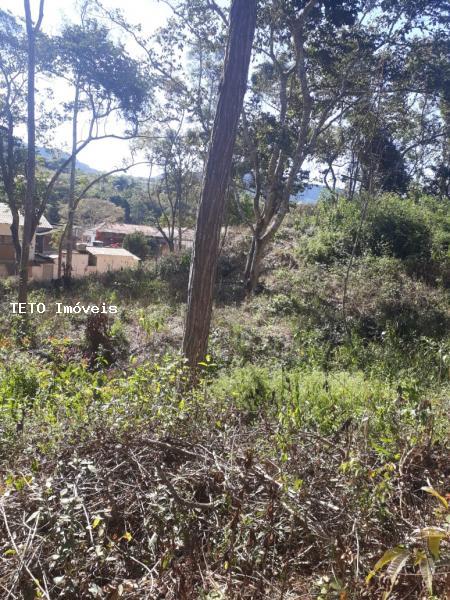 Terreno, 6250 m² - Foto 3