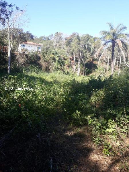 Terreno, 6250 m² - Foto 5