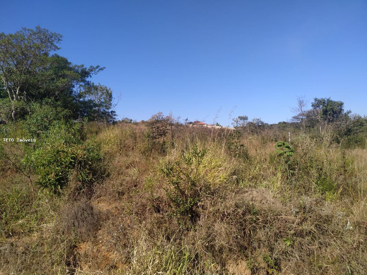 Terreno, 1780 m² - Foto 6