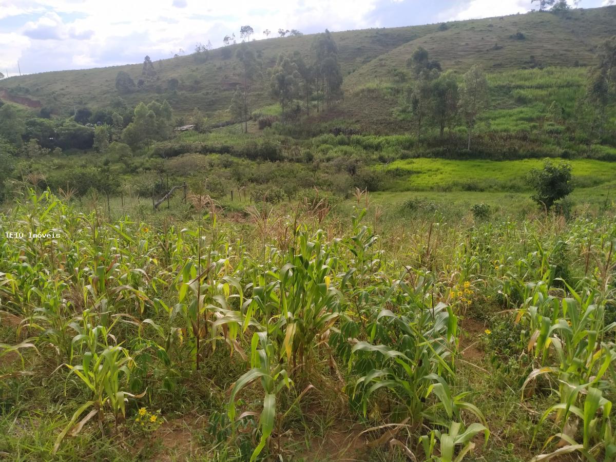 Terreno, 2000 m² - Foto 3