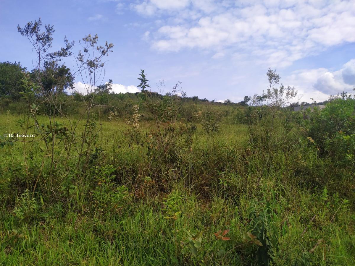 Terreno, 5000 m² - Foto 2