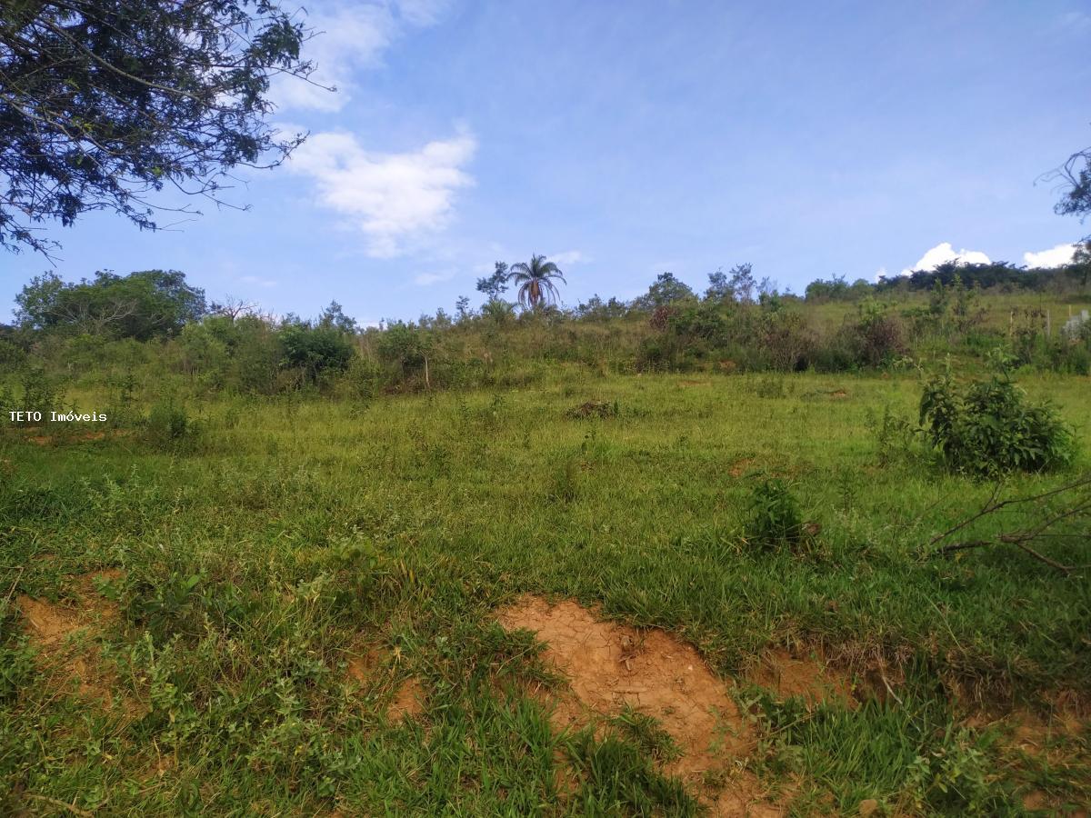 Terreno, 5000 m² - Foto 4