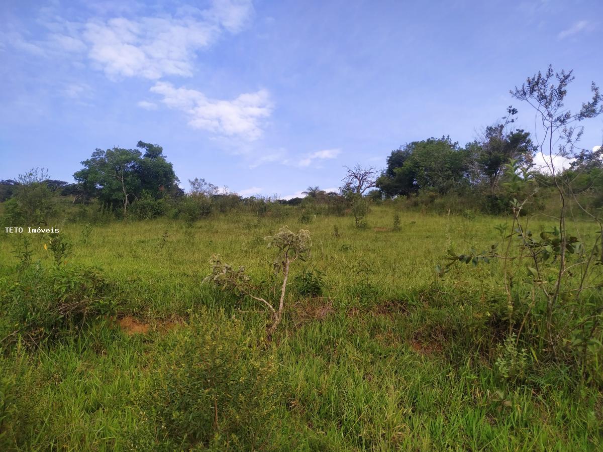 Terreno, 5000 m² - Foto 5