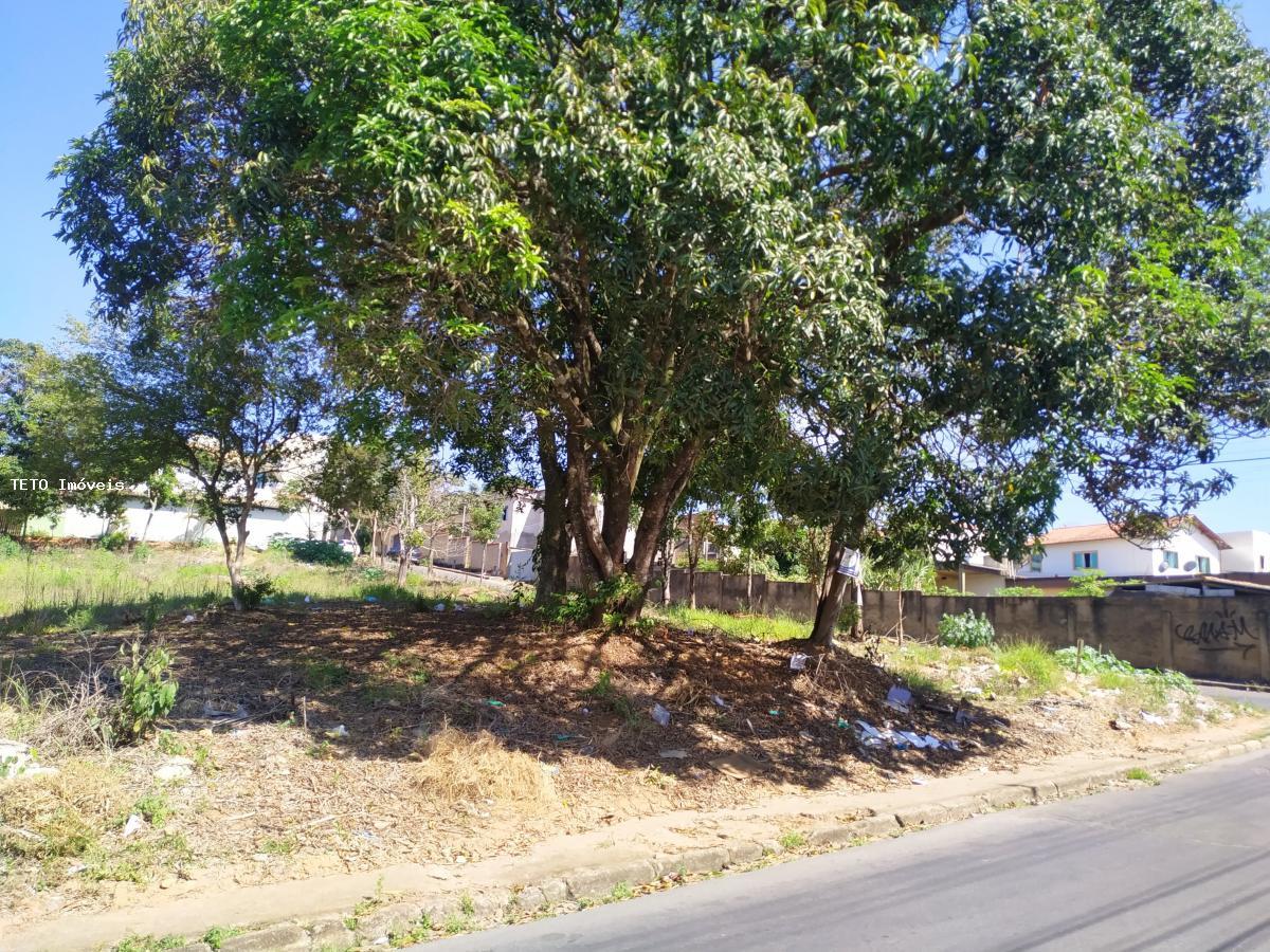 Terreno, 254 m² - Foto 7