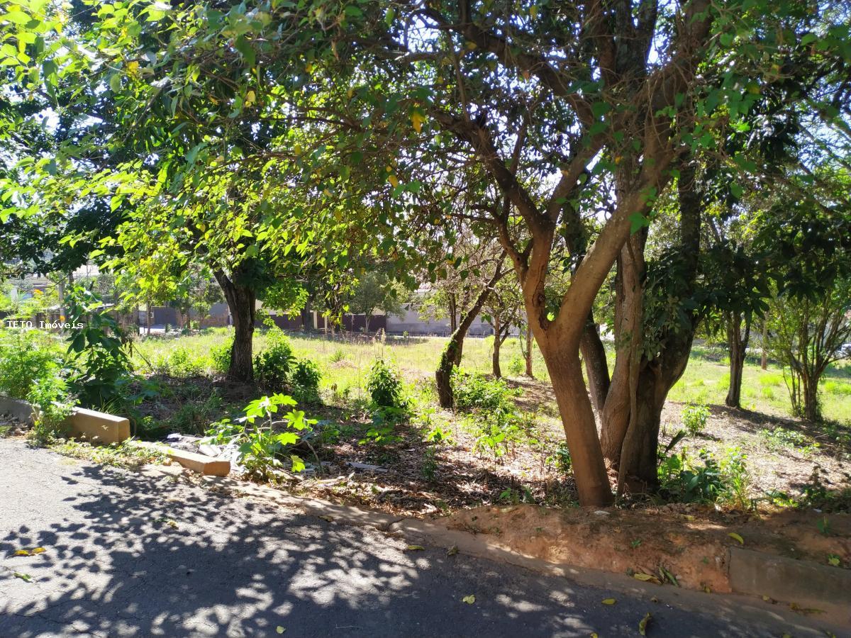 Terreno, 254 m² - Foto 12