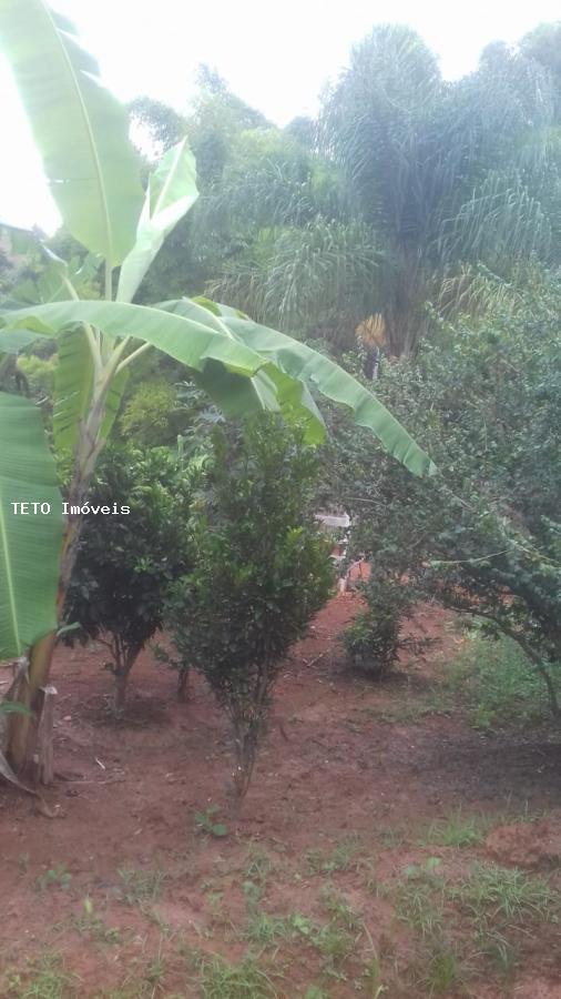 Chácara, 3 quartos, 900 m² - Foto 12