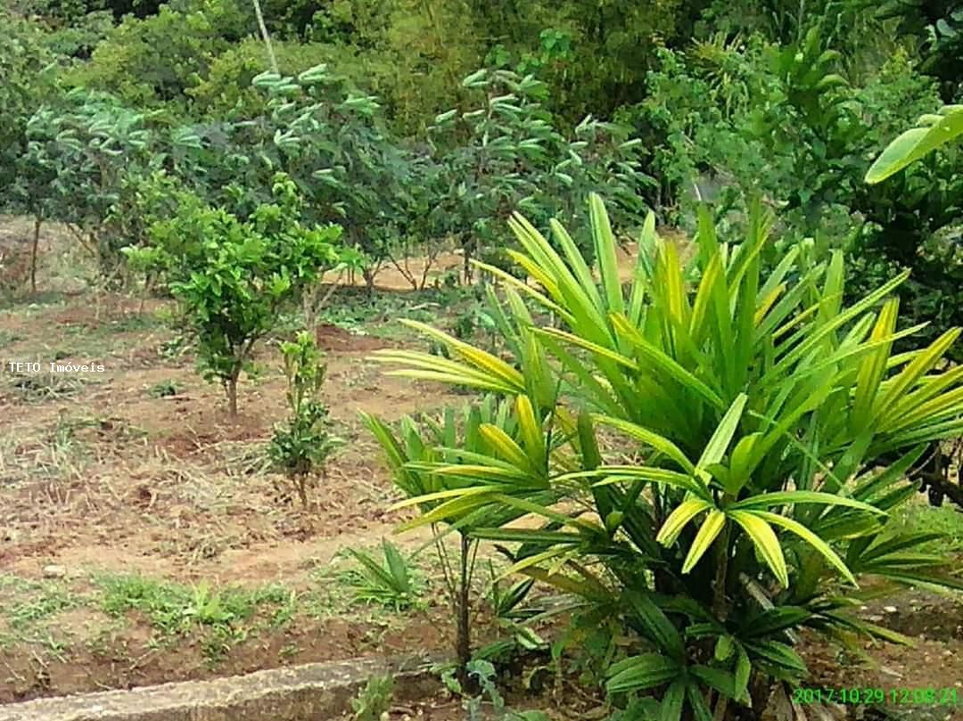 Chácara, 3 quartos, 900 m² - Foto 13