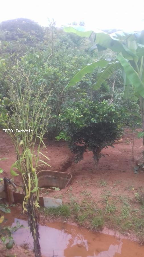 Chácara, 3 quartos, 900 m² - Foto 14