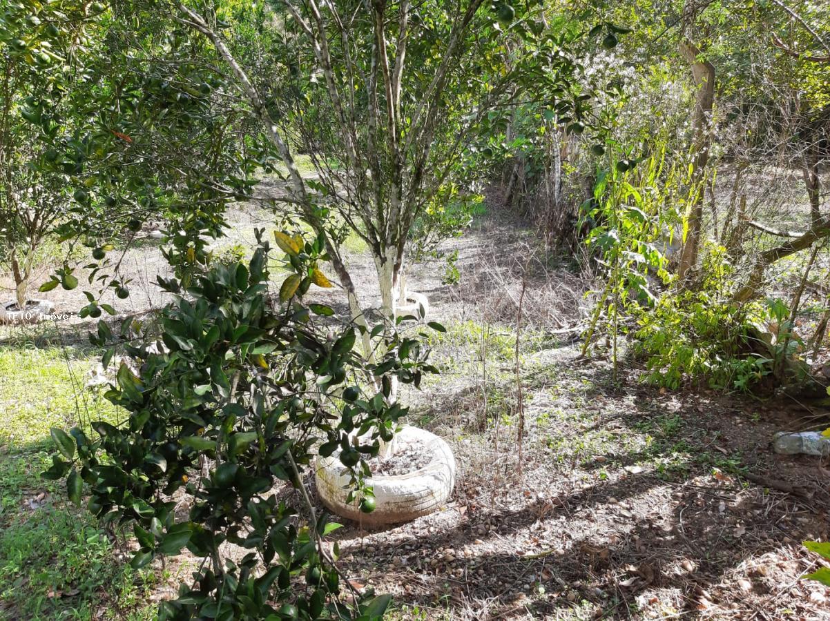 Chácara, 1 quarto, 800 m² - Foto 18