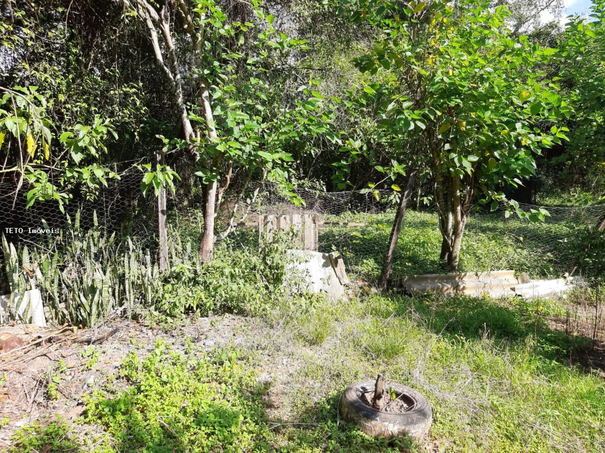 Chácara, 1 quarto, 800 m² - Foto 20