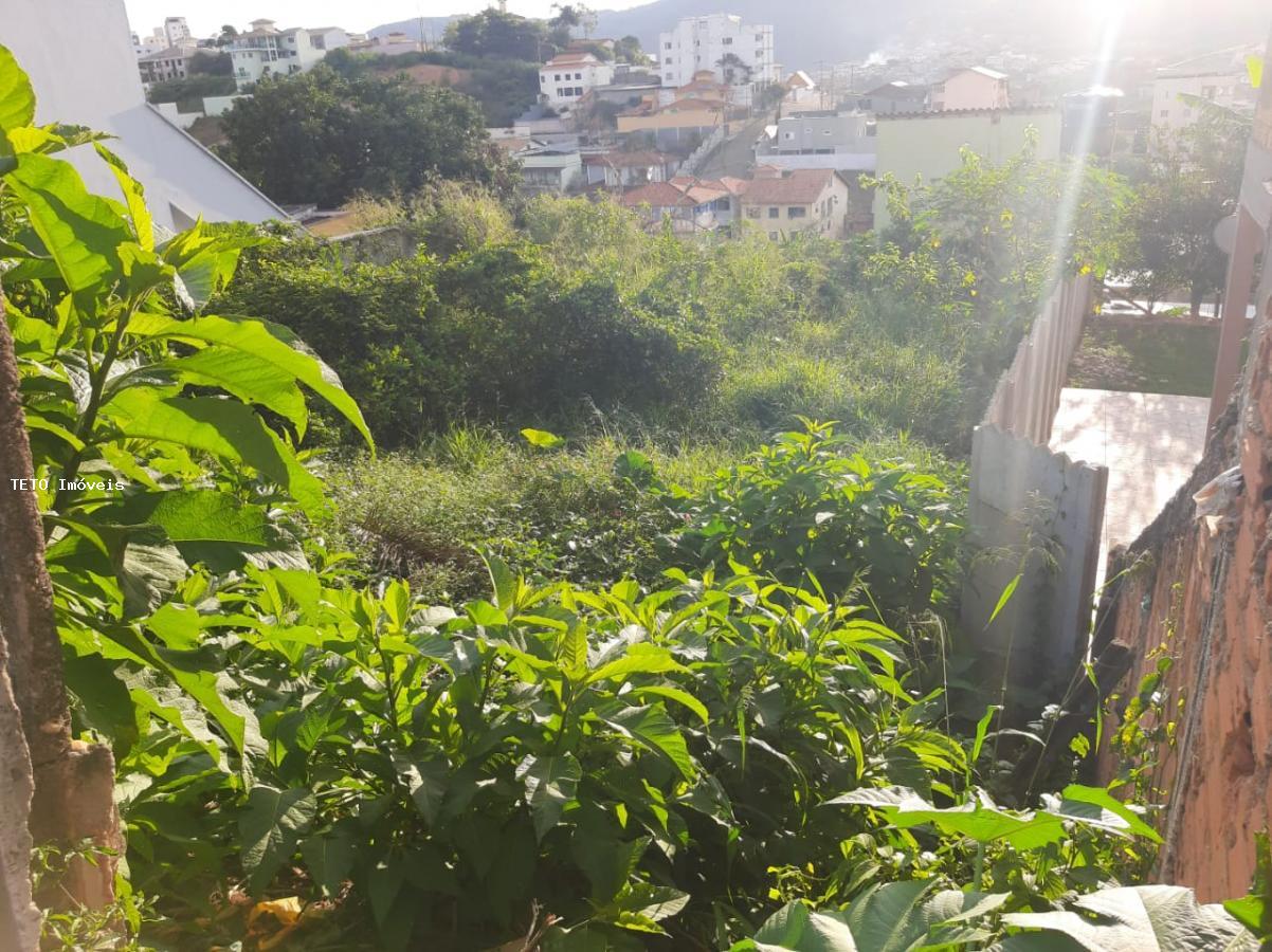 Terreno, 365 m² - Foto 4