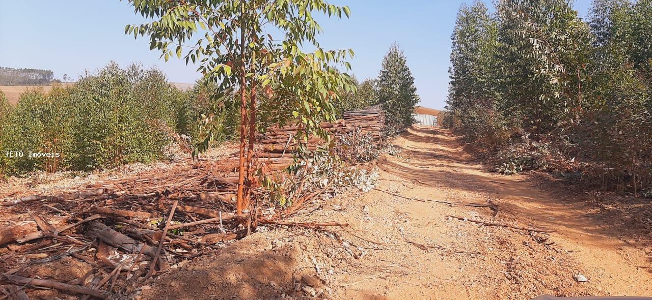 Fazenda, 56 m² - Foto 2