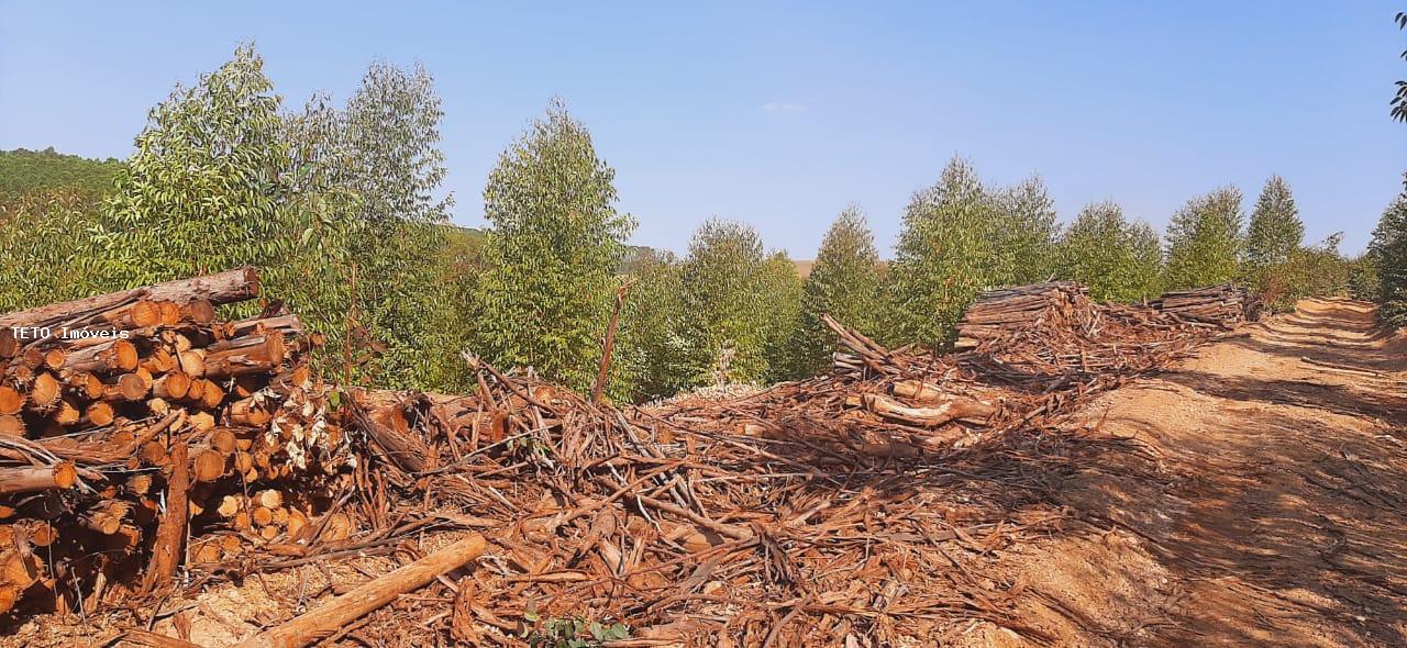 Fazenda, 56 m² - Foto 1