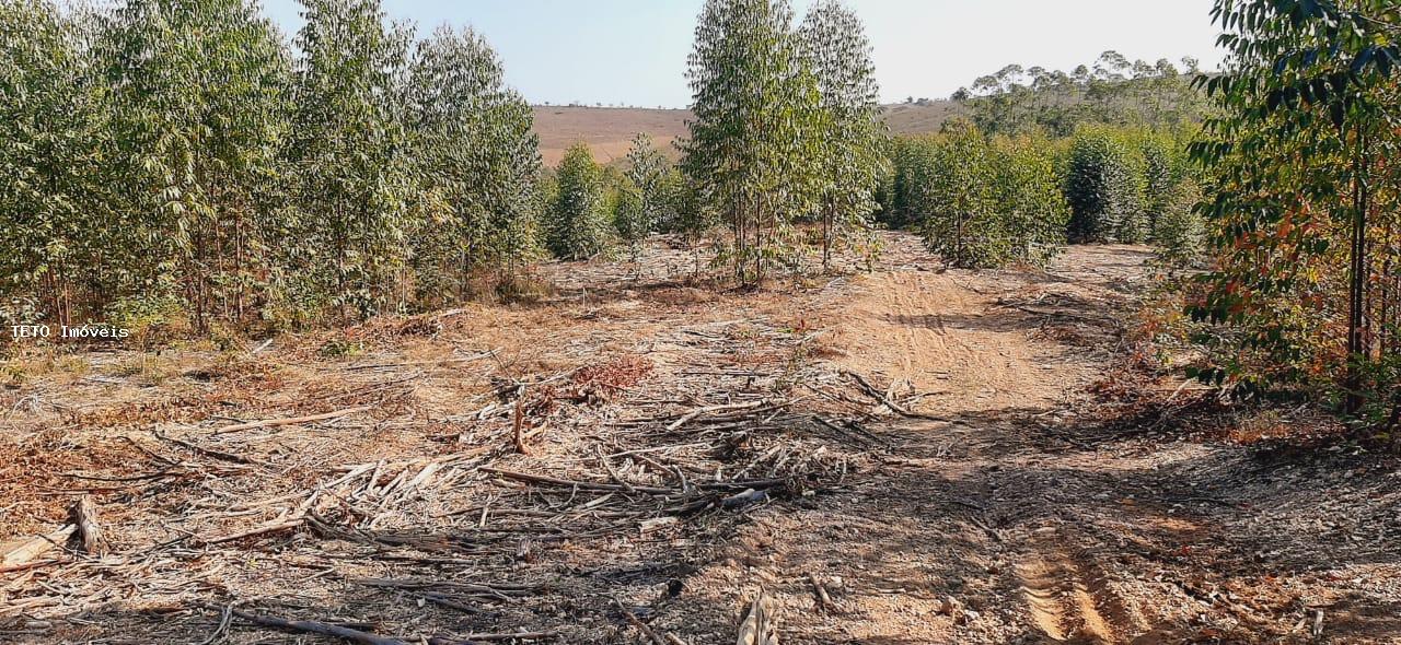 Fazenda, 56 m² - Foto 5