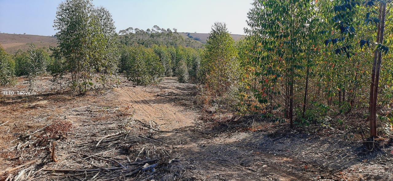 Fazenda, 56 m² - Foto 6