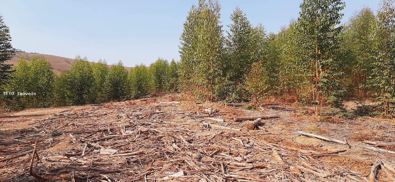 Fazenda, 56 m² - Foto 8