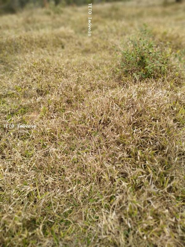 Loteamento e Condomínio, 13 m² - Foto 11