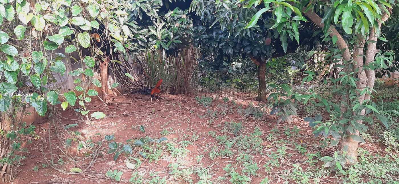 Chácara, 2 quartos, 222 m² - Foto 18