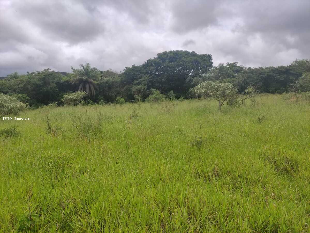 Terreno, 650 m² - Foto 5