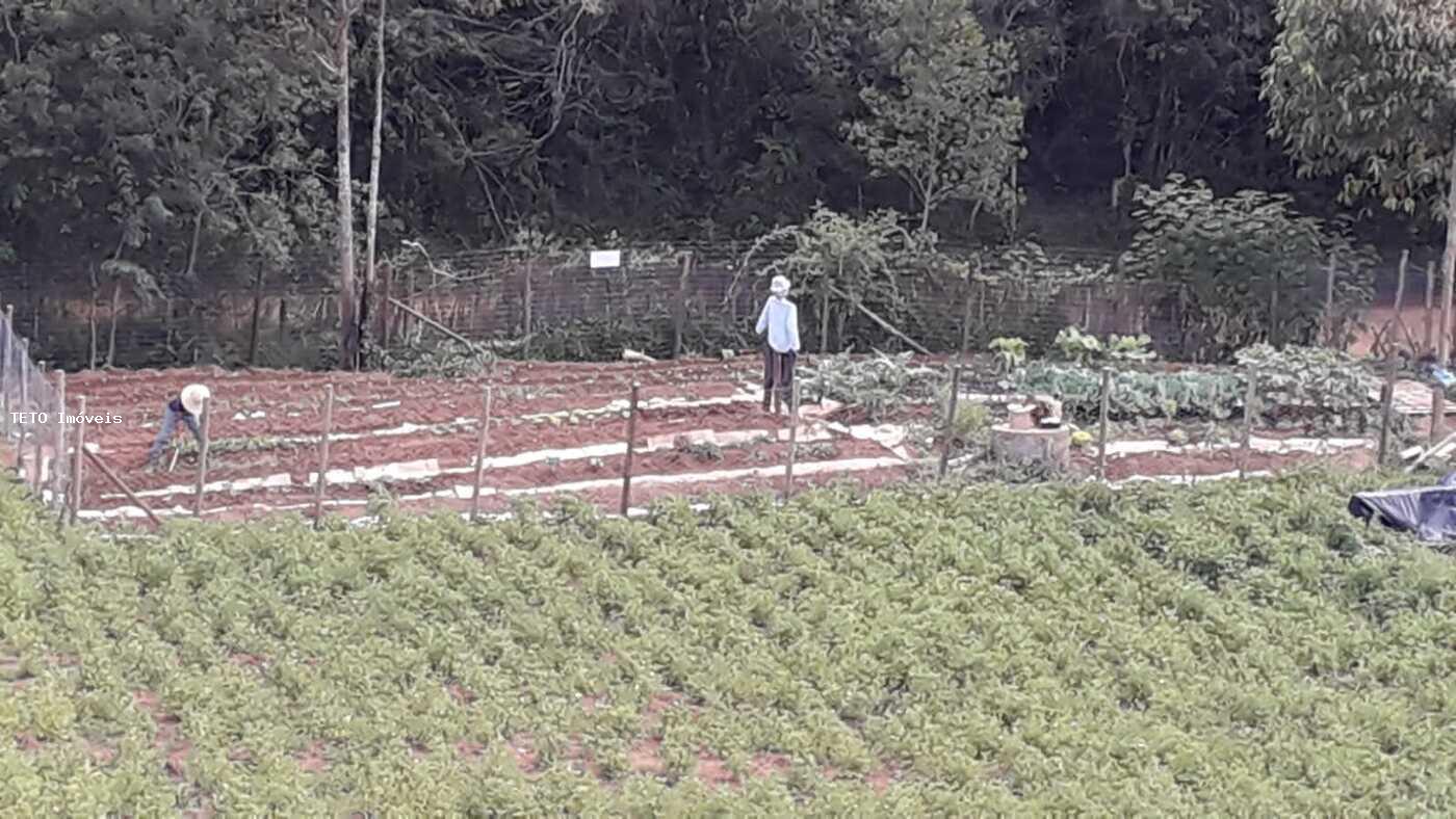 Sítio, 2 quartos, 10 m² - Foto 18