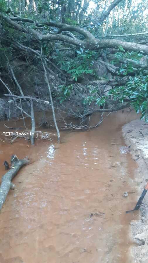 Sítio, 2 quartos, 10 m² - Foto 53