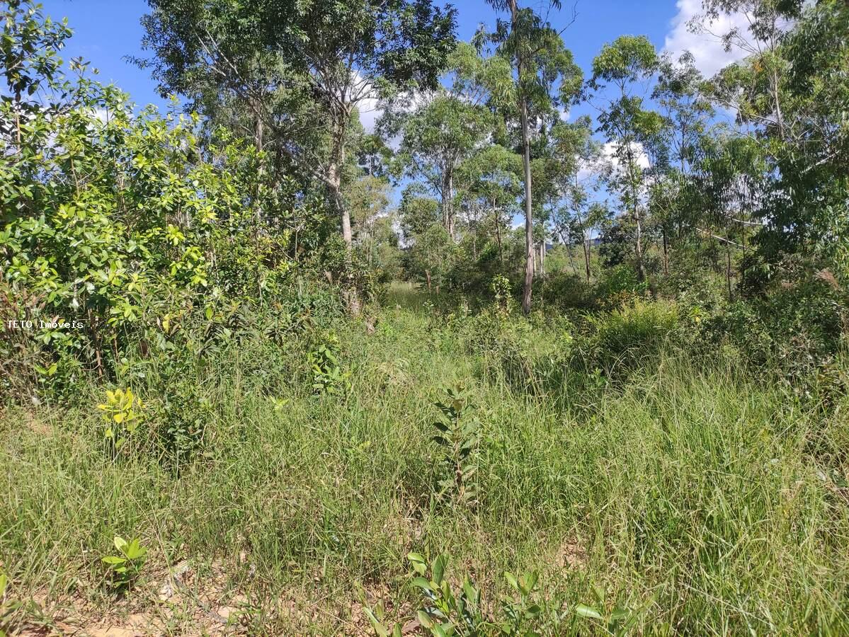 Terreno, 2000 m² - Foto 8