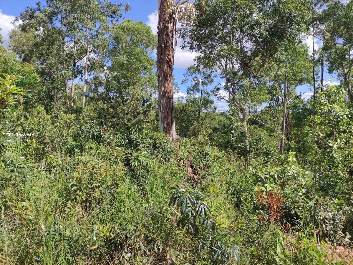 Terreno, 2000 m² - Foto 10