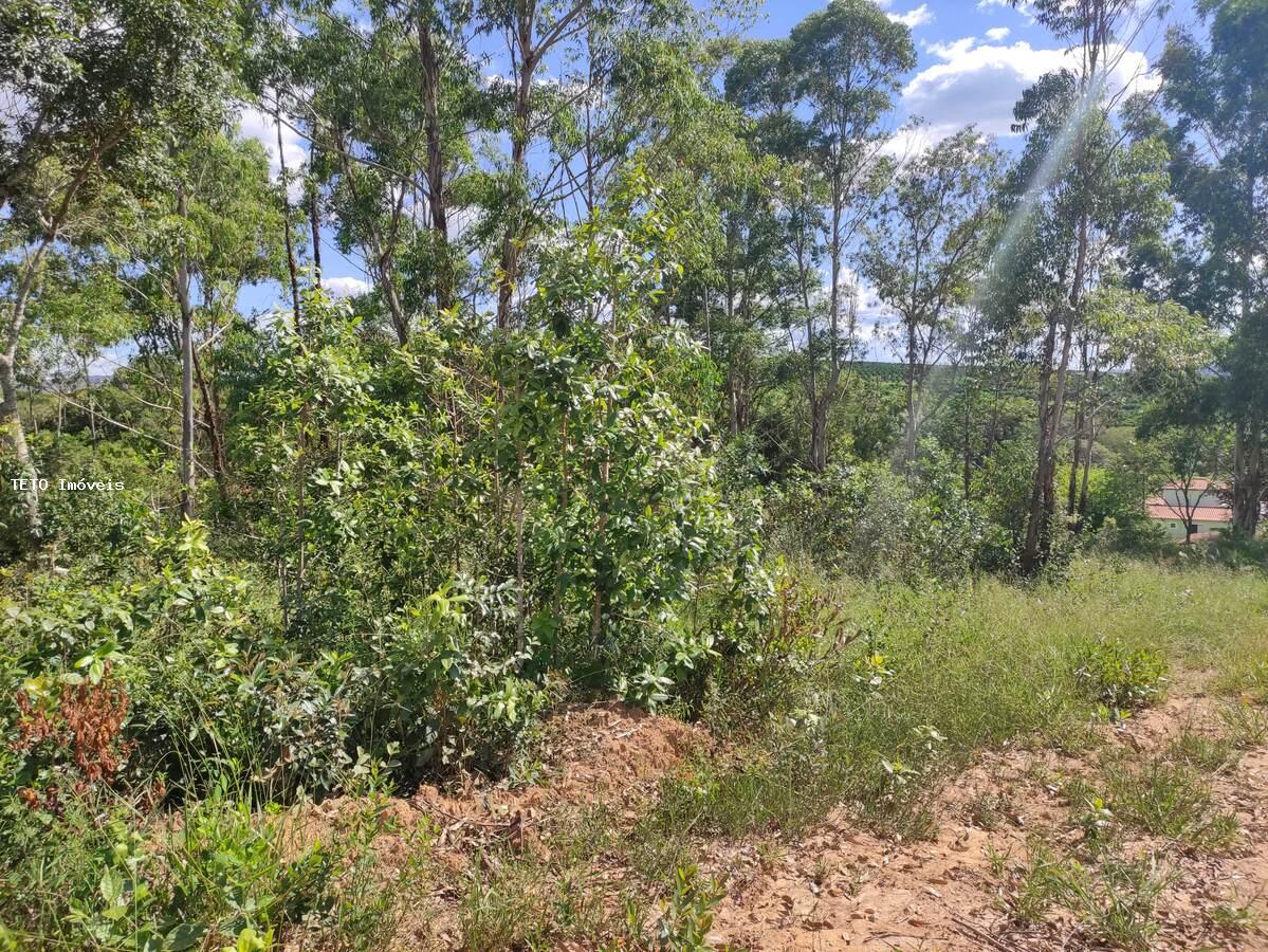 Terreno, 2000 m² - Foto 11