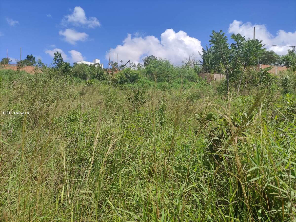 Terreno, 450 m² - Foto 3