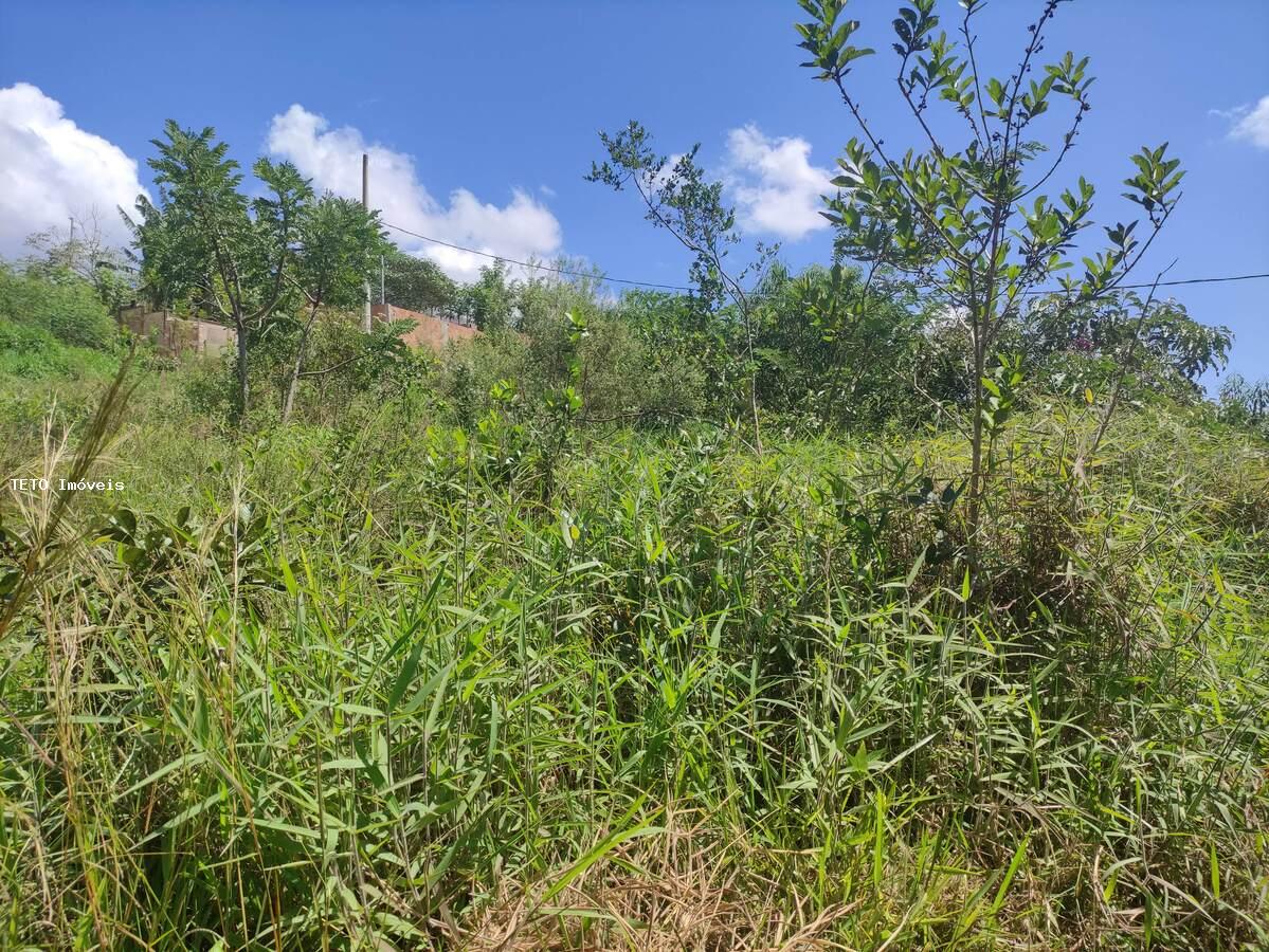 Terreno, 450 m² - Foto 4