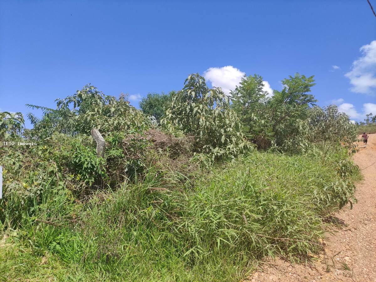 Terreno, 450 m² - Foto 5