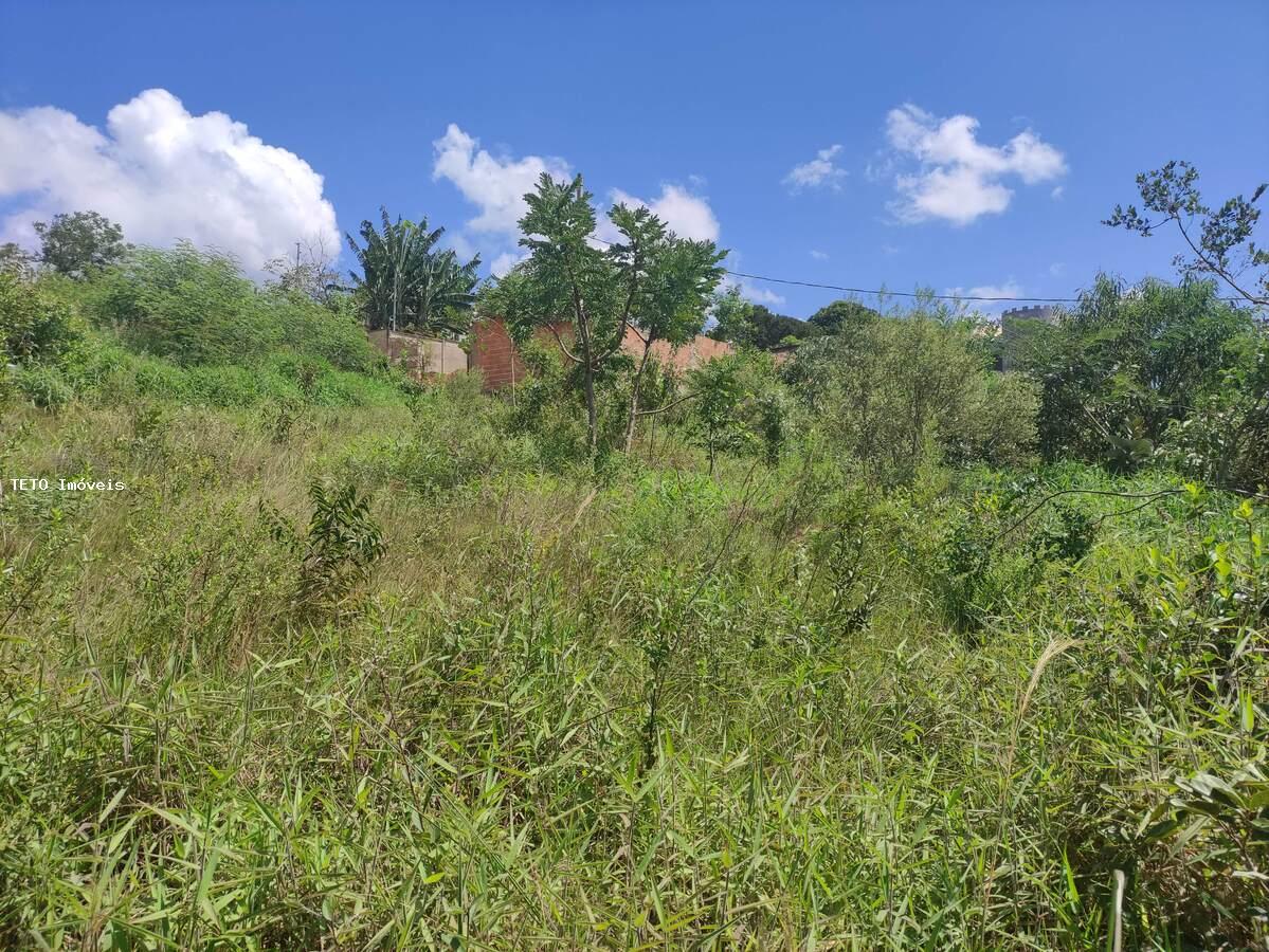 Terreno, 450 m² - Foto 6