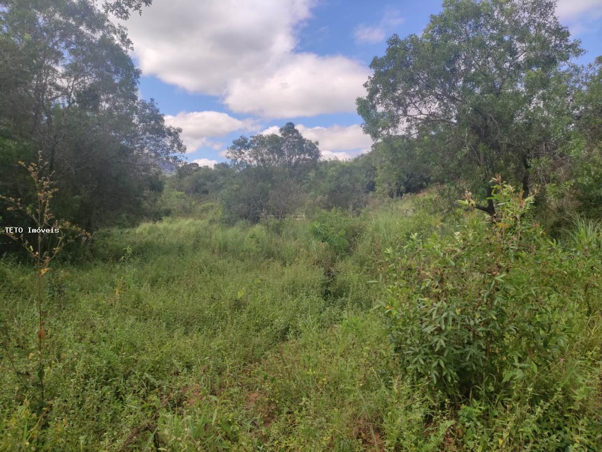 Terreno, 3000 m² - Foto 3