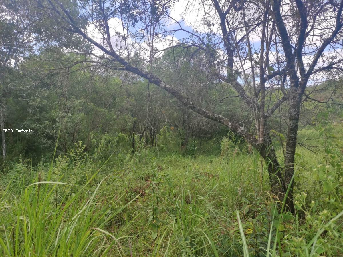 Terreno, 3000 m² - Foto 4