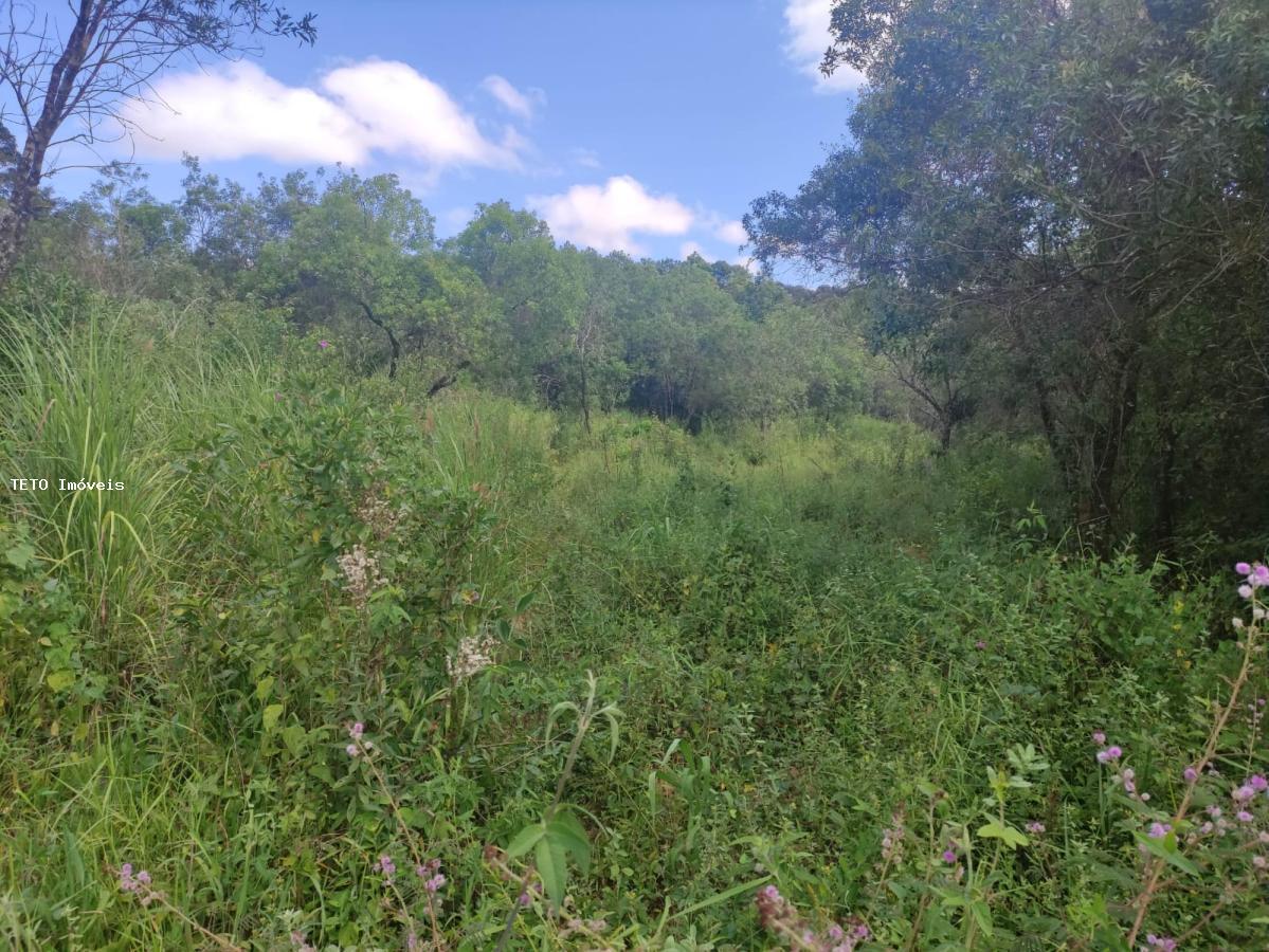 Terreno, 3000 m² - Foto 5