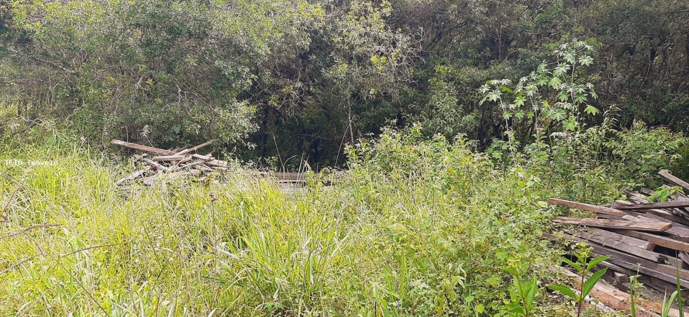 Terreno, 3000 m² - Foto 12