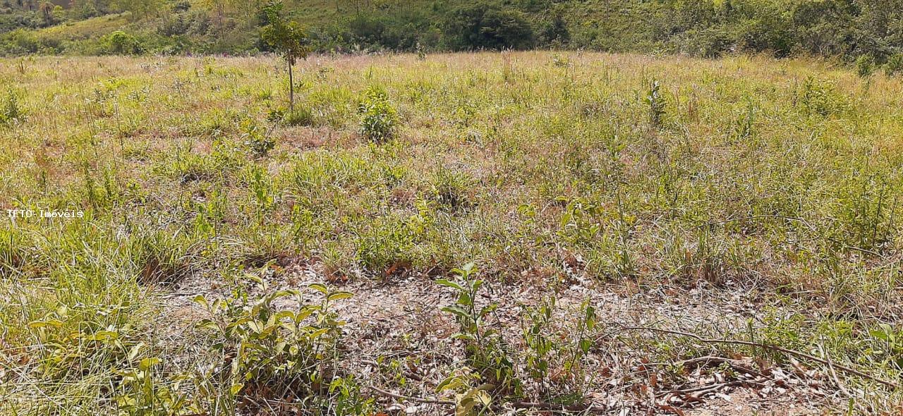 Terreno, 1000 m² - Foto 3