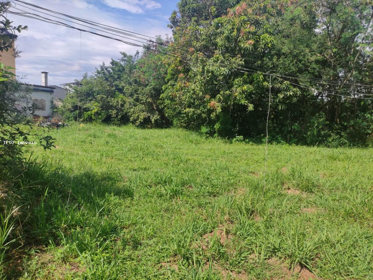 Terreno, 2 hectares - Foto 3