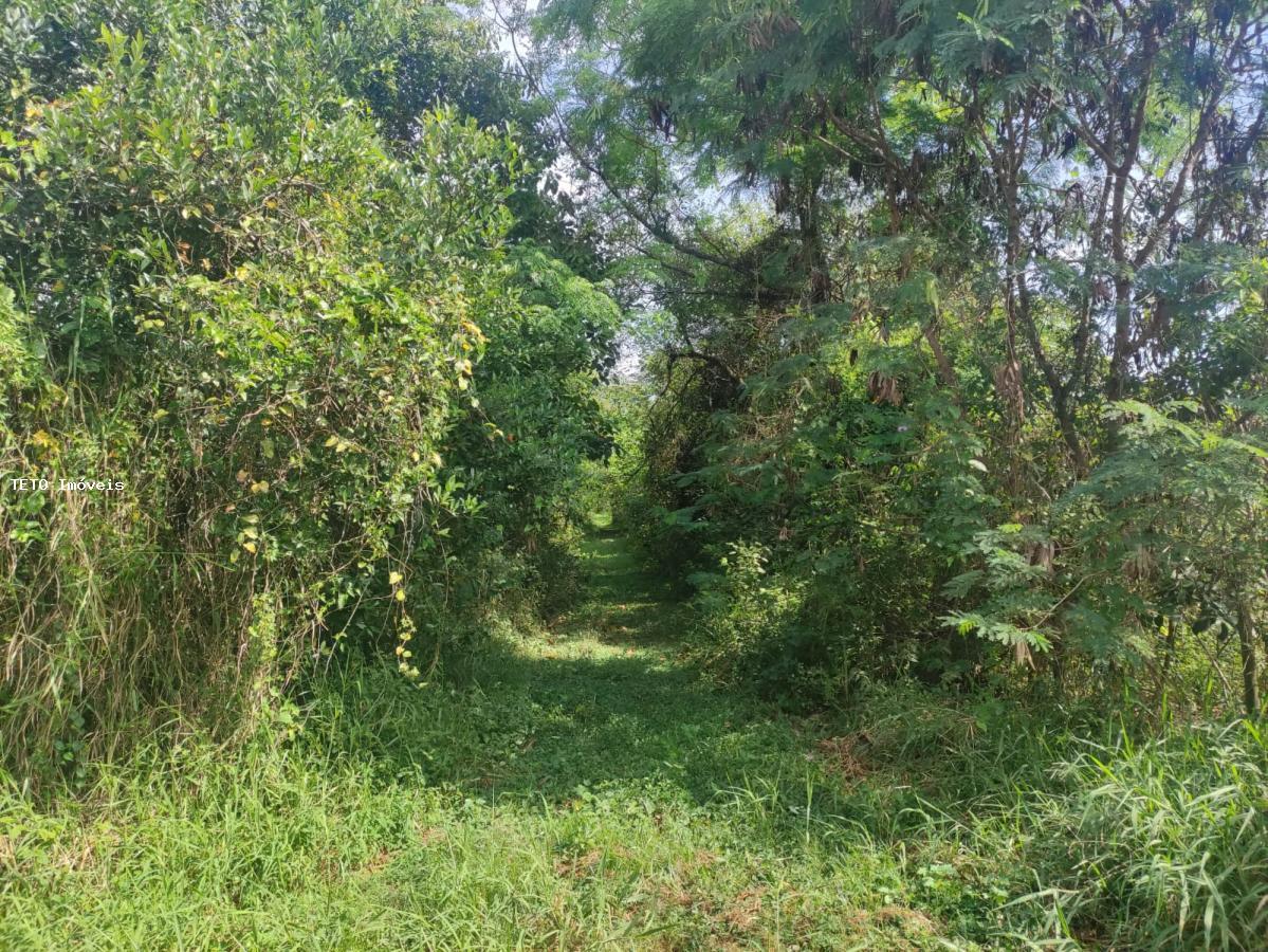 Terreno, 2 hectares - Foto 4