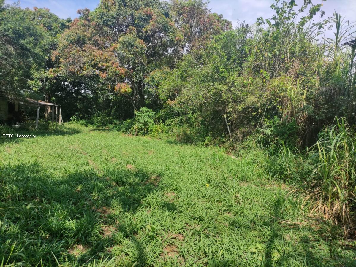 Terreno, 2 hectares - Foto 5